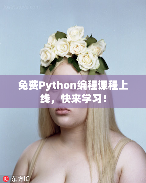 免费Python编程课程上线，快来学习！