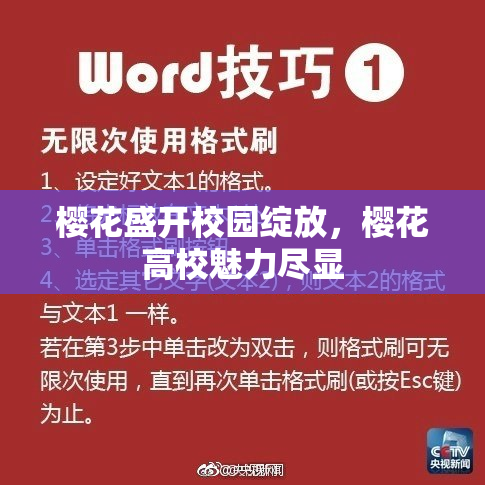 樱花盛开校园绽放，樱花高校魅力尽显