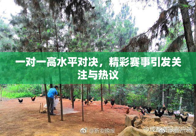 一对一高水平对决，精彩赛事引发关注与热议