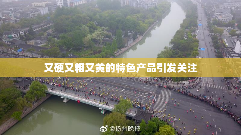 又硬又粗又黄的特色产品引发关注