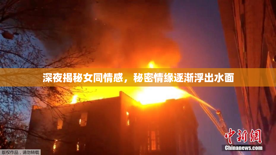 深夜揭秘女同情感，秘密情缘逐渐浮出水面