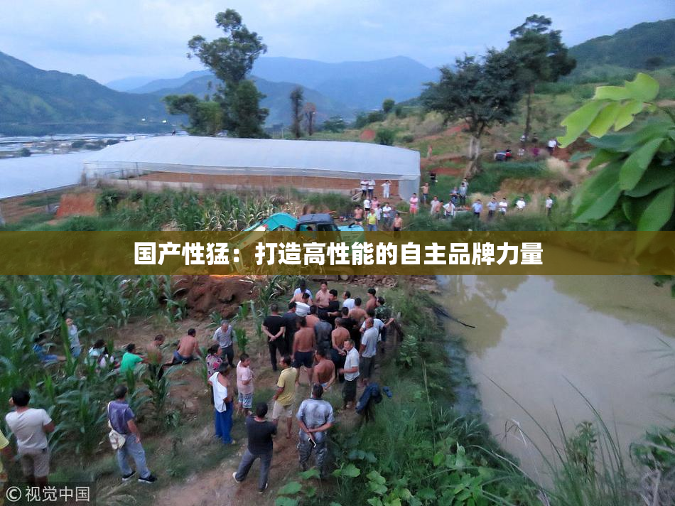 国产性猛：打造高性能的自主品牌力量