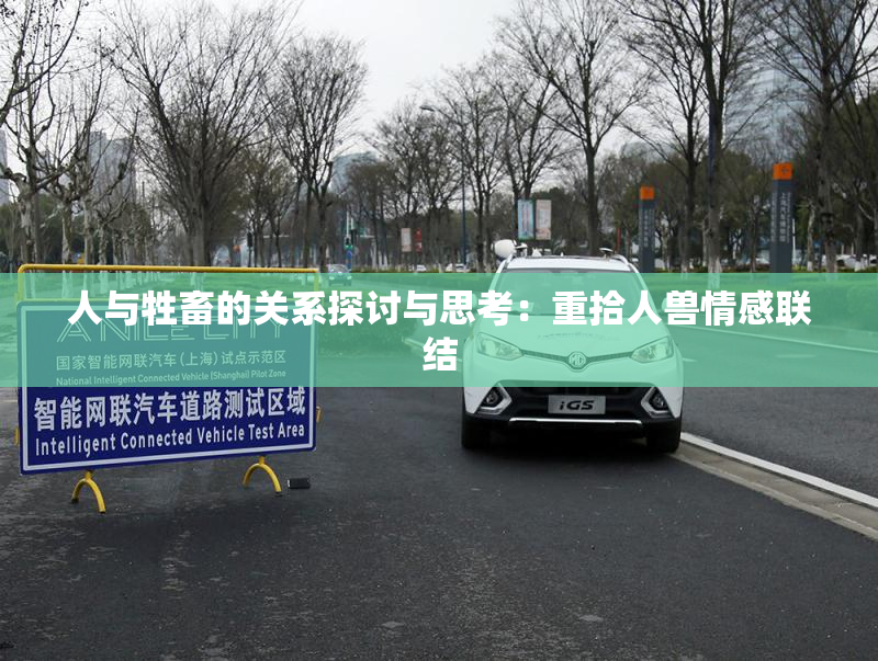 人与牲畜的关系探讨与思考：重拾人兽情感联结