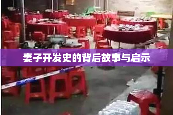 妻子开发史的背后故事与启示