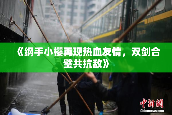 《纲手小樱再现热血友情，双剑合璧共抗敌》