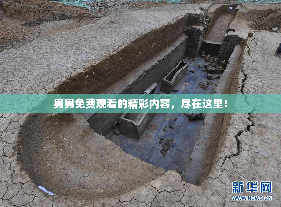 男男免费观看的精彩内容，尽在这里！