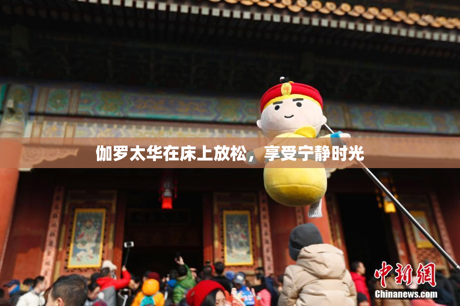 伽罗太华在床上放松，享受宁静时光