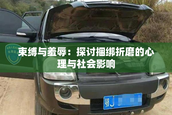 束缚与羞辱：探讨捆绑折磨的心理与社会影响