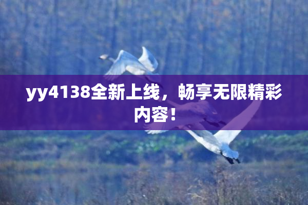 yy4138全新上线，畅享无限精彩内容！