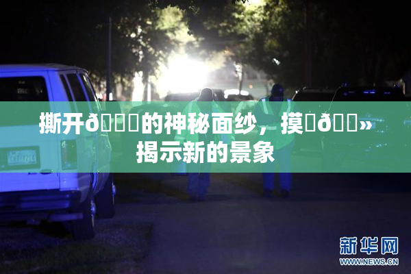 撕开👙的神秘面纱，摸‌🐻揭示新的景象