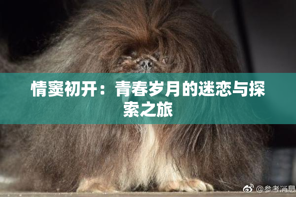情窦初开：青春岁月的迷恋与探索之旅