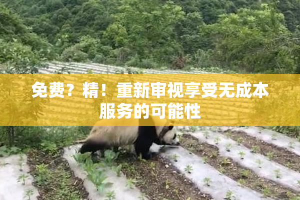 免费？精！重新审视享受无成本服务的可能性