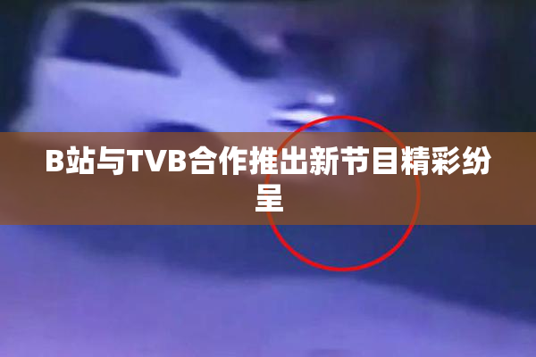 B站与TVB合作推出新节目精彩纷呈