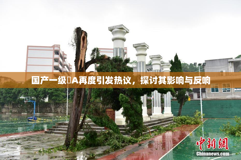 国产一级婬A再度引发热议，探讨其影响与反响
