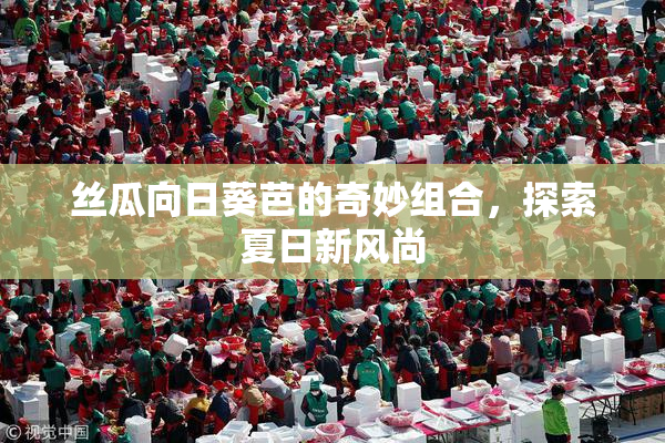 丝瓜向日葵芭的奇妙组合，探索夏日新风尚