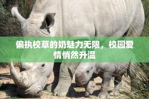 偏执校草的奶魅力无限，校园爱情悄然升温