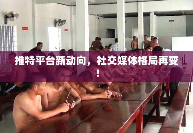 推特平台新动向，社交媒体格局再变！