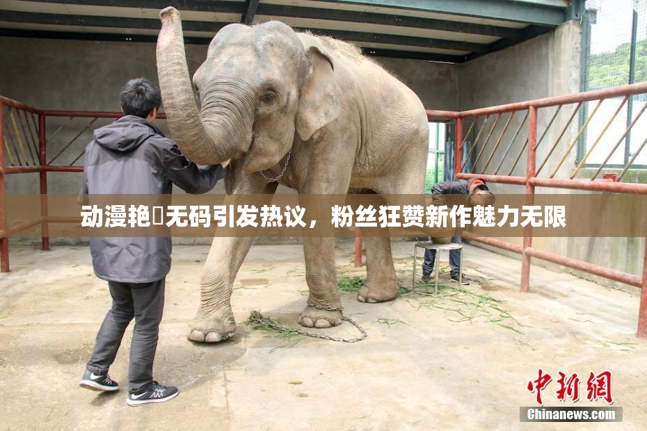 动漫艳鉧无码引发热议，粉丝狂赞新作魅力无限
