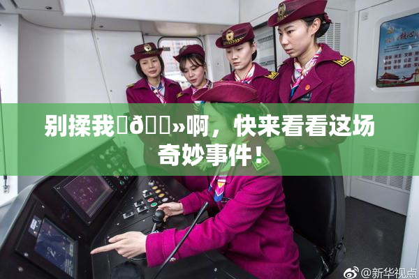 别揉我‌🐻啊，快来看看这场奇妙事件！
