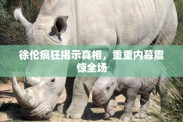 徐伦疯狂揭示真相，重重内幕震惊全场