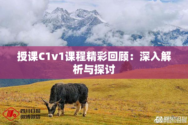 授课C1v1课程精彩回顾：深入解析与探讨