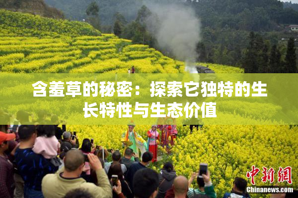 含羞草的秘密：探索它独特的生长特性与生态价值