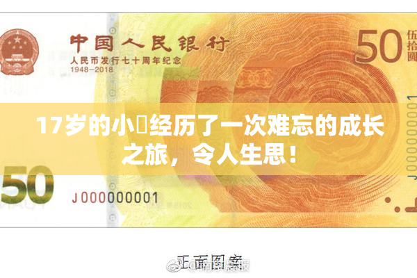 17岁的小泬经历了一次难忘的成长之旅，令人生思！