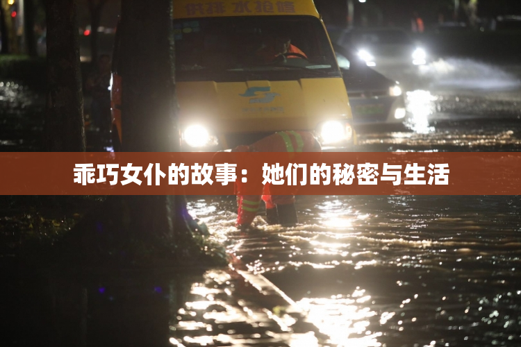 乖巧女仆的故事：她们的秘密与生活
