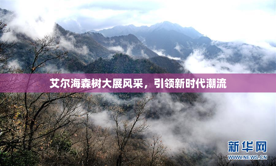 艾尔海森树大展风采，引领新时代潮流