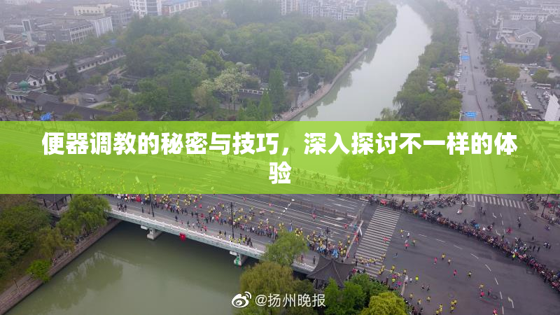 便器调教的秘密与技巧，深入探讨不一样的体验