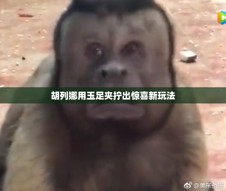 胡列娜用玉足夹拧出惊喜新玩法