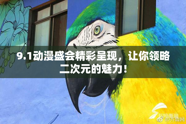 9.1动漫盛会精彩呈现，让你领略二次元的魅力！