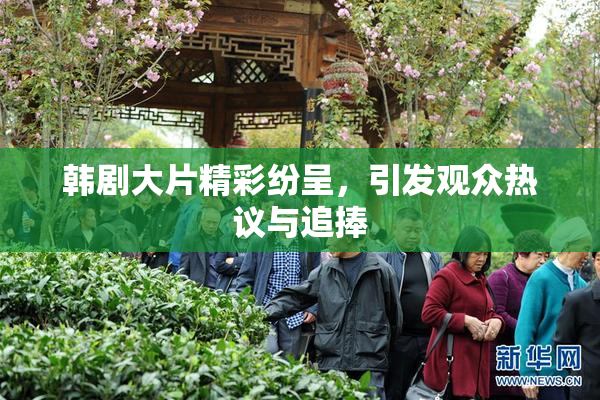 韩剧大片精彩纷呈，引发观众热议与追捧