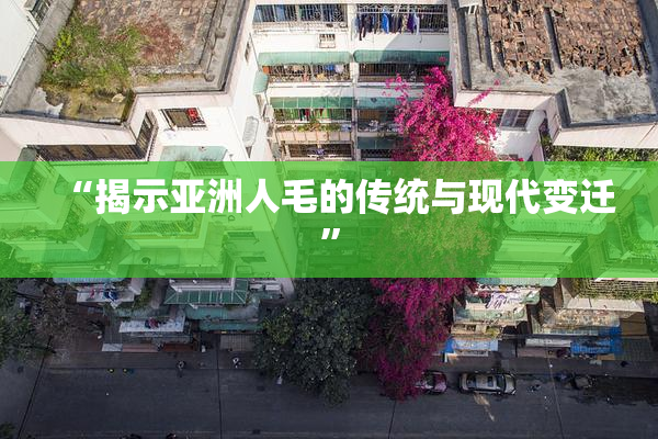 “揭示亚洲人毛的传统与现代变迁”
