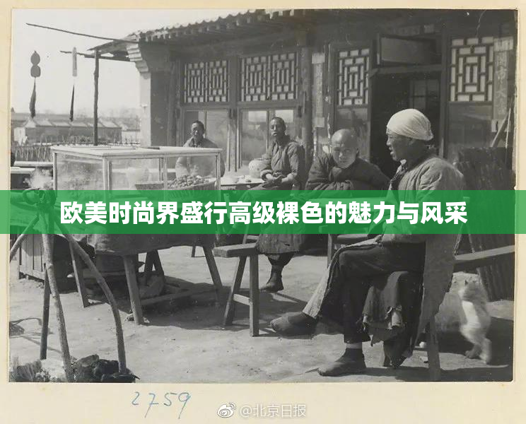 欧美时尚界盛行高级裸色的魅力与风采