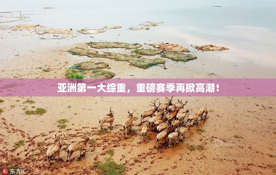 亚洲第一大综重，重磅赛季再掀高潮！