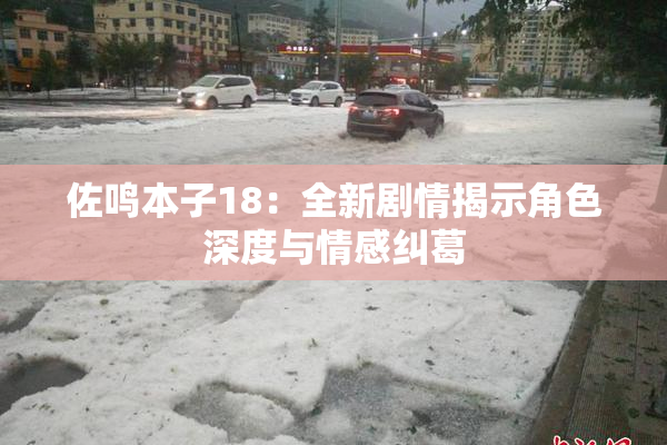 佐鸣本子18：全新剧情揭示角色深度与情感纠葛
