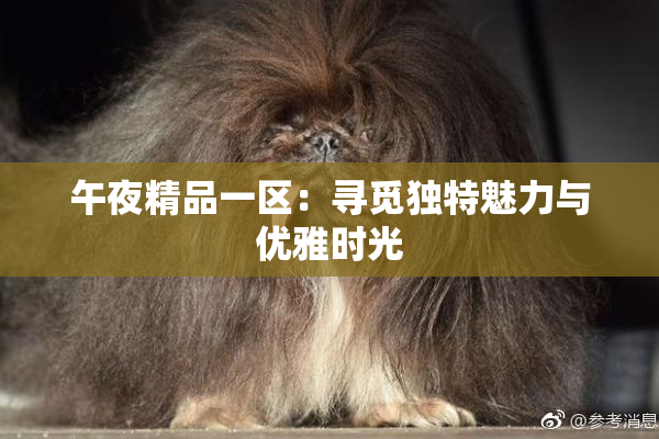 午夜精品一区：寻觅独特魅力与优雅时光
