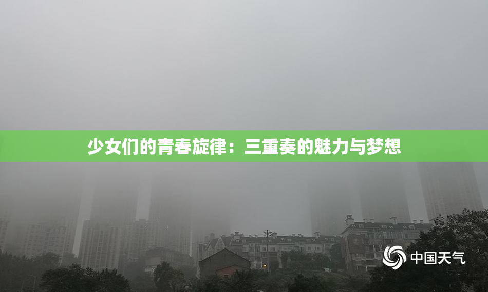 少女们的青春旋律：三重奏的魅力与梦想