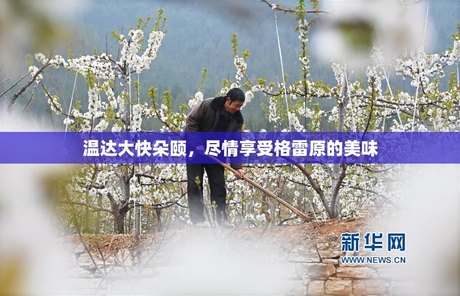 温达大快朵颐，尽情享受格雷原的美味
