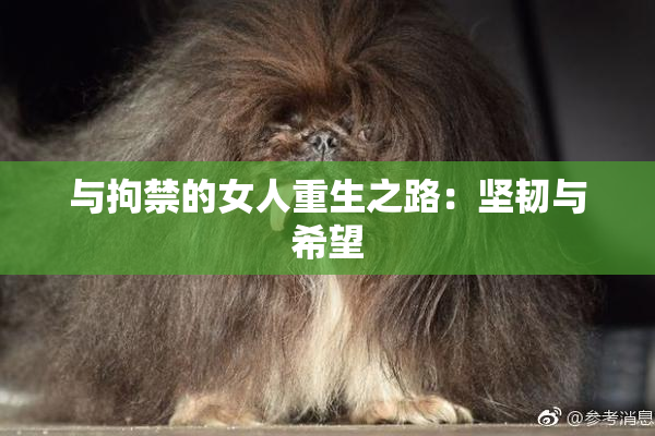 与拘禁的女人重生之路：坚韧与希望