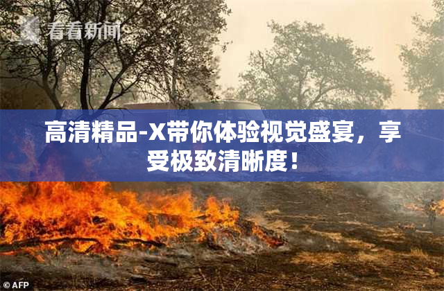 高清精品-X带你体验视觉盛宴，享受极致清晰度！