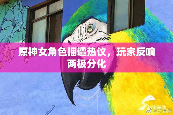 原神女角色捆遭热议，玩家反响两极分化