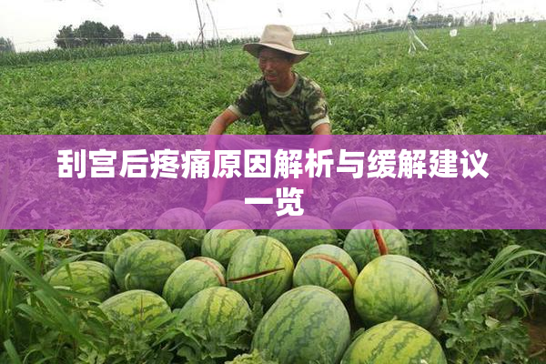 刮宫后疼痛原因解析与缓解建议一览