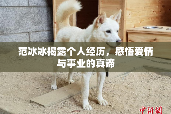 范冰冰揭露个人经历，感悟爱情与事业的真谛