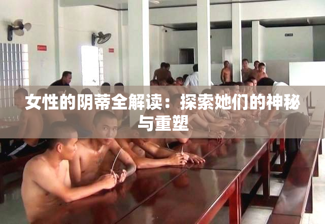 女性的阴蒂全解读：探索她们的神秘与重塑