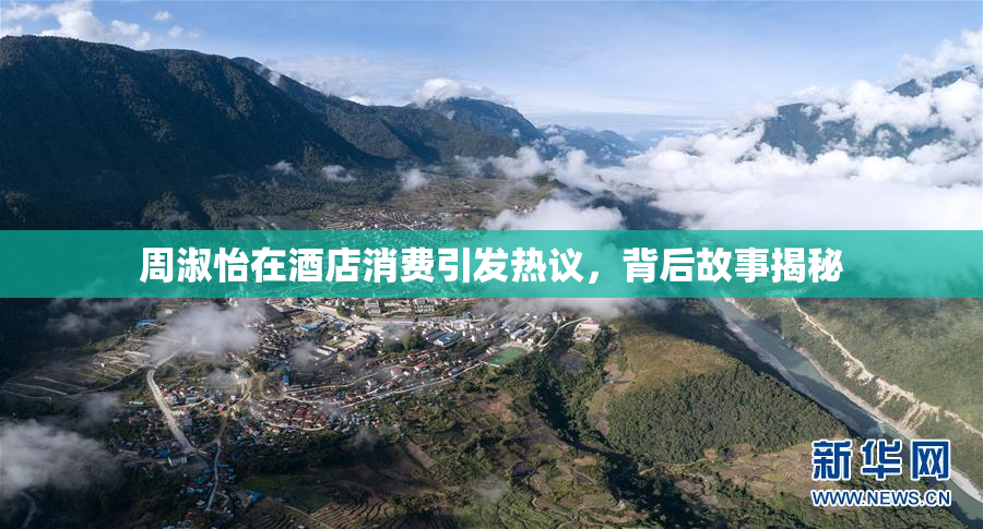 周淑怡在酒店消费引发热议，背后故事揭秘