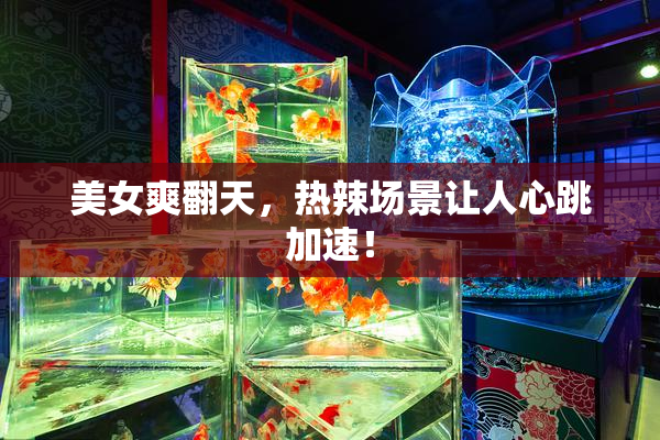 美女爽翻天，热辣场景让人心跳加速！