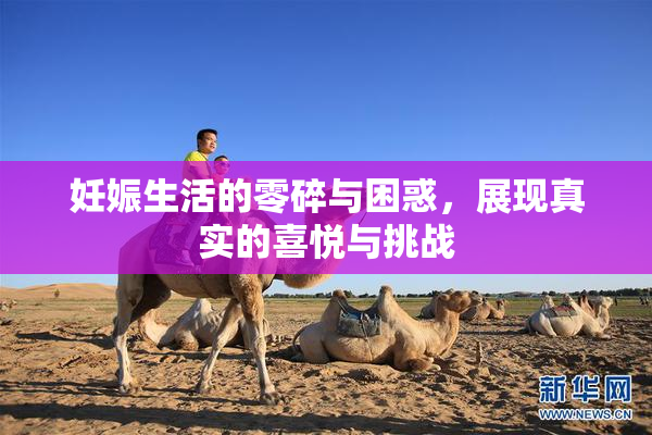 妊娠生活的零碎与困惑，展现真实的喜悦与挑战
