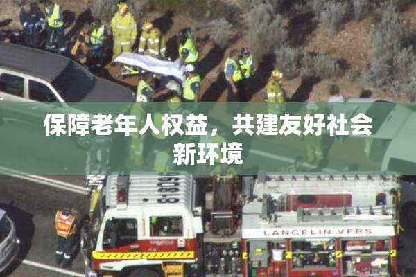 保障老年人权益，共建友好社会新环境